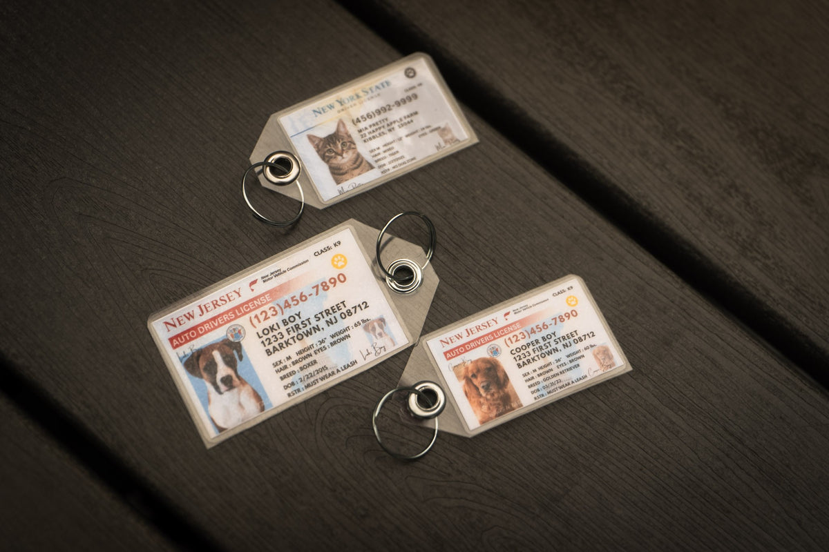New York Pet Tag